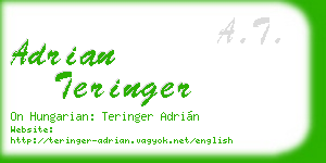 adrian teringer business card